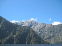 IMG_1792.jpg