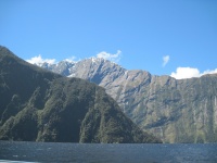 IMG_1793.jpg
