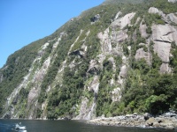 IMG_1817.jpg