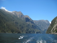 IMG_1821.jpg