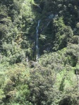 IMG_1825.jpg