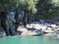 IMG_1837.jpg