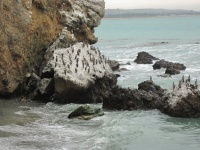IMG_1645.jpg