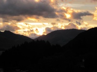 IMG_1687.jpg