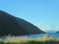 IMG_1954.jpg