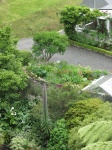 IMG_1497.jpg
