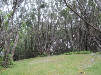 IMG_1502.jpg