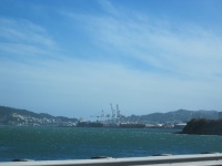 Wellington.jpg