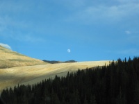 IMG_0452.JPG