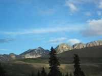 IMG_0462.JPG