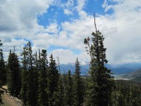 IMG_0504.jpg
