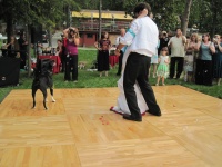 IMG_2338.jpg