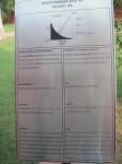IMG_2722.jpg
