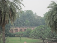 IMG_2780.jpg