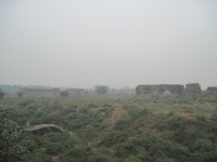 IMG_2809.jpg