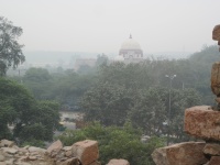IMG_2817.jpg