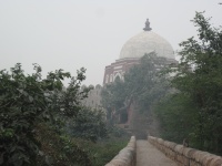 IMG_2823.jpg