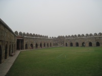 IMG_2827.jpg