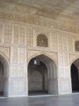 IMG_2983.jpg