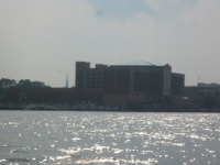 IMG_3678.jpg