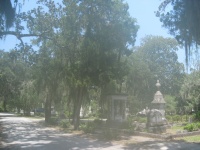 IMG_3700.jpg