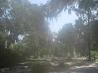 IMG_3701.jpg