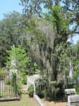 IMG_3708.jpg