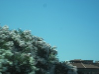 IMG_3208.jpg