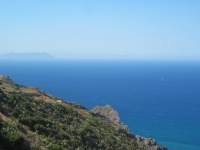 IMG_3223.jpg