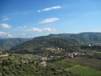 IMG_3260.jpg