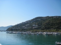 IMG_3273.jpg
