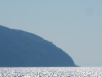 IMG_3279.jpg