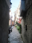 IMG_3288.jpg