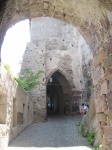 IMG_3291.jpg