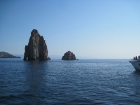 IMG_3310.jpg