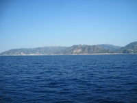 IMG_3317.jpg