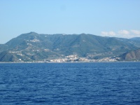 IMG_3319.jpg