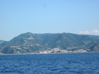 IMG_3320.jpg