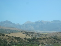 IMG_3328.jpg
