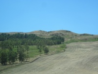 IMG_3330.jpg