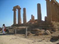 IMG_3347.jpg