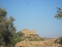 IMG_3392.jpg