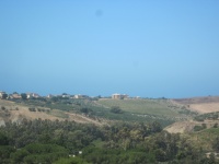 IMG_3421.jpg
