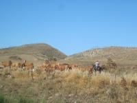 IMG_3507.jpg