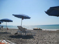IMG_3510.jpg