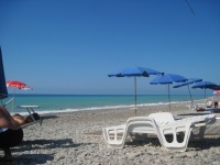 IMG_3511.jpg